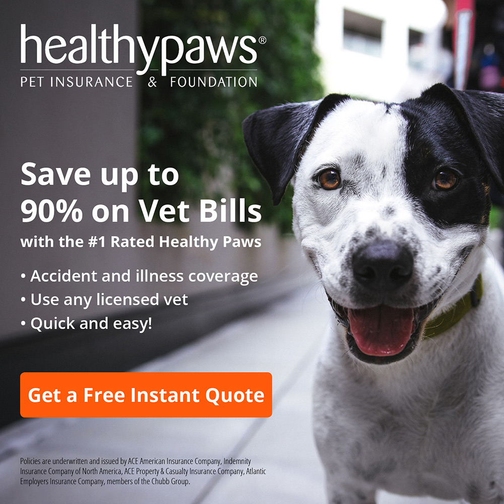 Healthy Paws - click to view offer